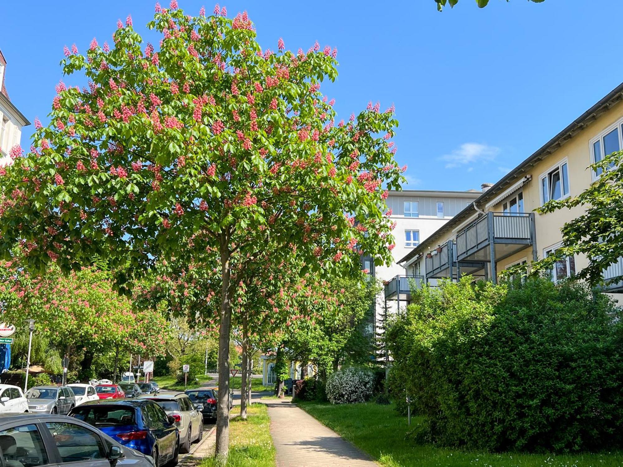 New-York Appartment, 2 Zimmer, Zentral Naehe Bahnhof Wilhelmshoehe Κάσελ Εξωτερικό φωτογραφία